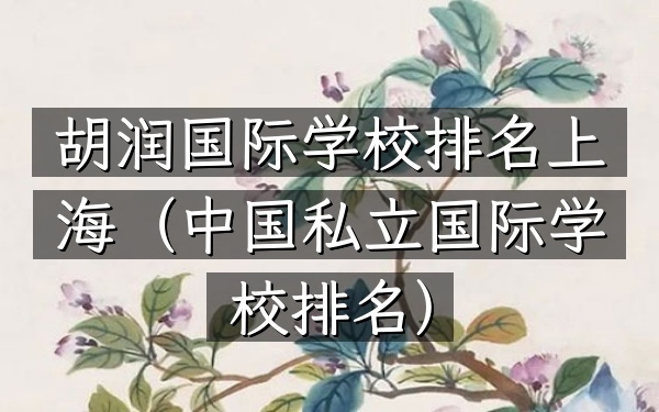 胡润国际学校排名上海（中国私立国际学校排名）
