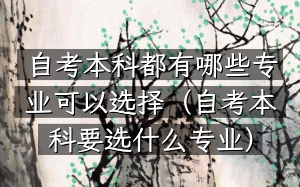 自考本科都有哪些专业可以选择(自考本科要选什么专业)