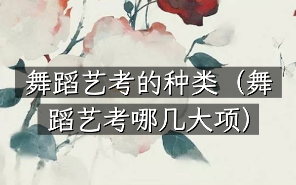 舞蹈艺考的种类(舞蹈艺考哪几大项)