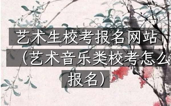 艺术生校考报名网站(艺术音乐类校考怎么报名)