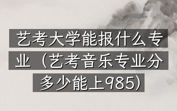 艺考大学能报什么专业(艺考音乐专业分多少能上985)