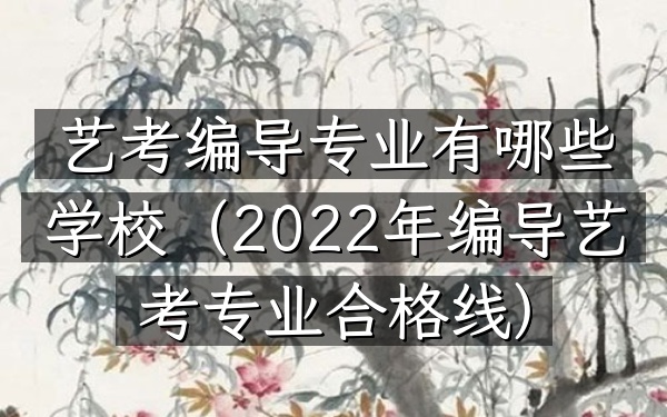 艺考 编导专业有哪些学校(2022年编导艺考专业合格线)