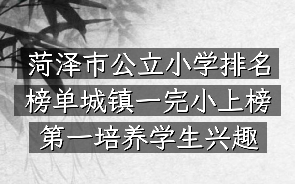 菏泽市公立小学排名榜 单城镇一完小上榜第一培养学生兴趣