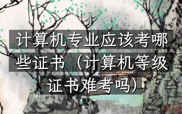 计算机专业应该考哪些证书(计算机等级证书难考吗)