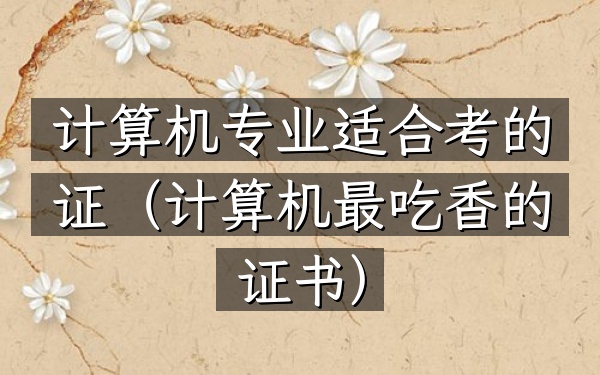 计算机专业适合考的证(计算机最吃香的证书)