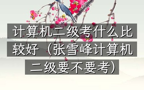 计算机二级考什么比较好(张雪峰计算机二级要不要考)