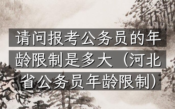 请问报考公务员的年龄限制是多大(河北省公务员年龄限制)