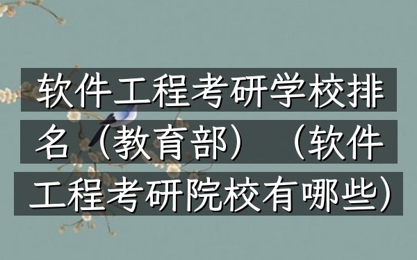 软件工程考研学校排名(教育部)(软件工程考研院校有哪些)