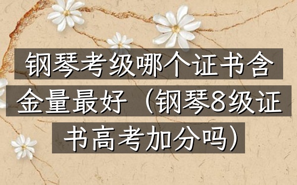 钢琴考级哪个证书含金量最好(钢琴8级证书高考加分吗)