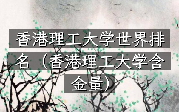 香港理工大学世界排名（香港理工大学含金量）