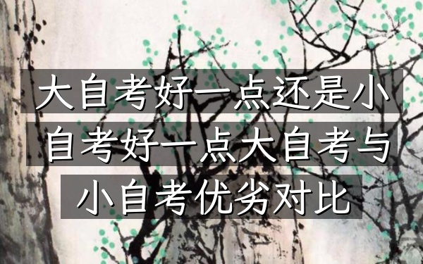 大自考好一点还是小自考好一点（大自考与小自考优劣对比）